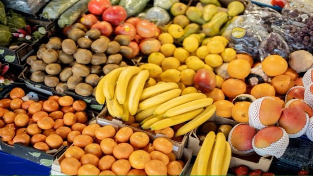 Wmohbqoa3vmvnvdsqtbw