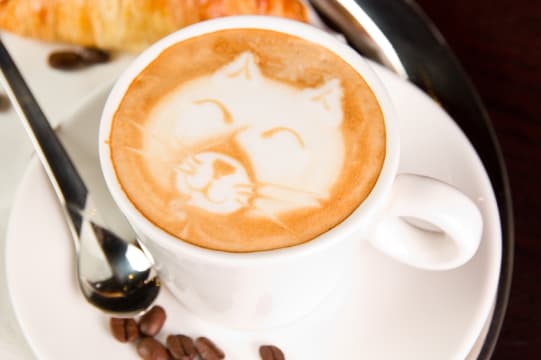 Cafe Tkg $12500 pw*Waverley area*Long Lease*25kg of coffee pw [1801191]
