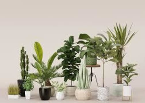 ARTIFICIAL PLANTS--MITCHAM --1P10820