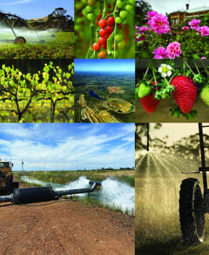 Yohdzmguximldanbplf9