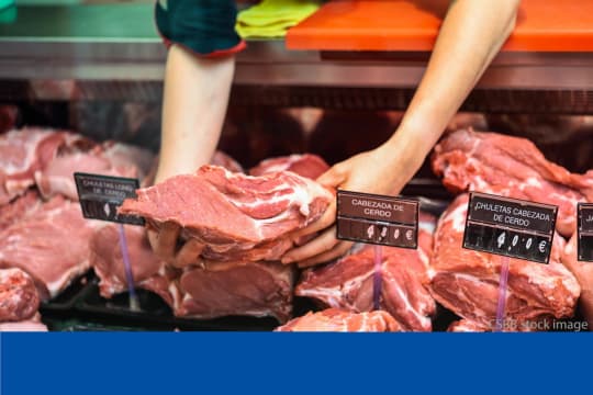 Butcher for Sale Sydney |1st time offered 30 Years Ref 0219