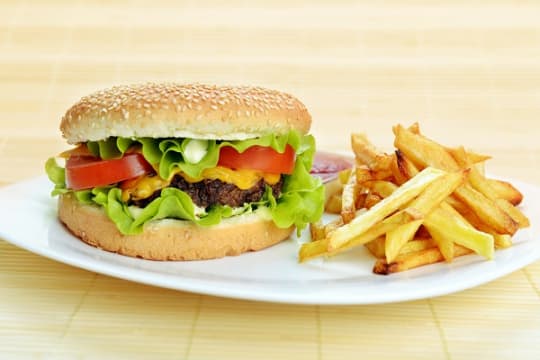 Takeaway- Burgers and Chips- Nets $7980 p.w.- South Sydney  - M2267