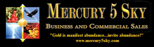 Mercury 5 Sky Business Sales