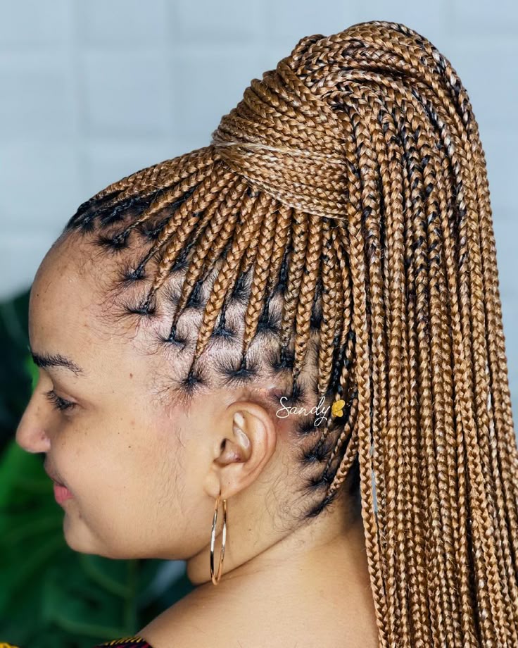 Knotless braid