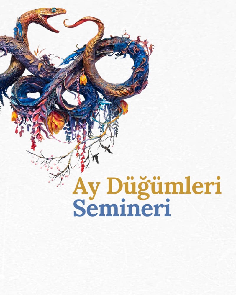 Lunar Nodes Seminar (Leo-Aquarius) - Butik Astroloji Eğitimi görseli