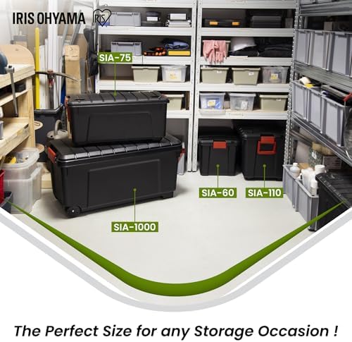 Vue 6 de Iris Ohyama Malle Boite