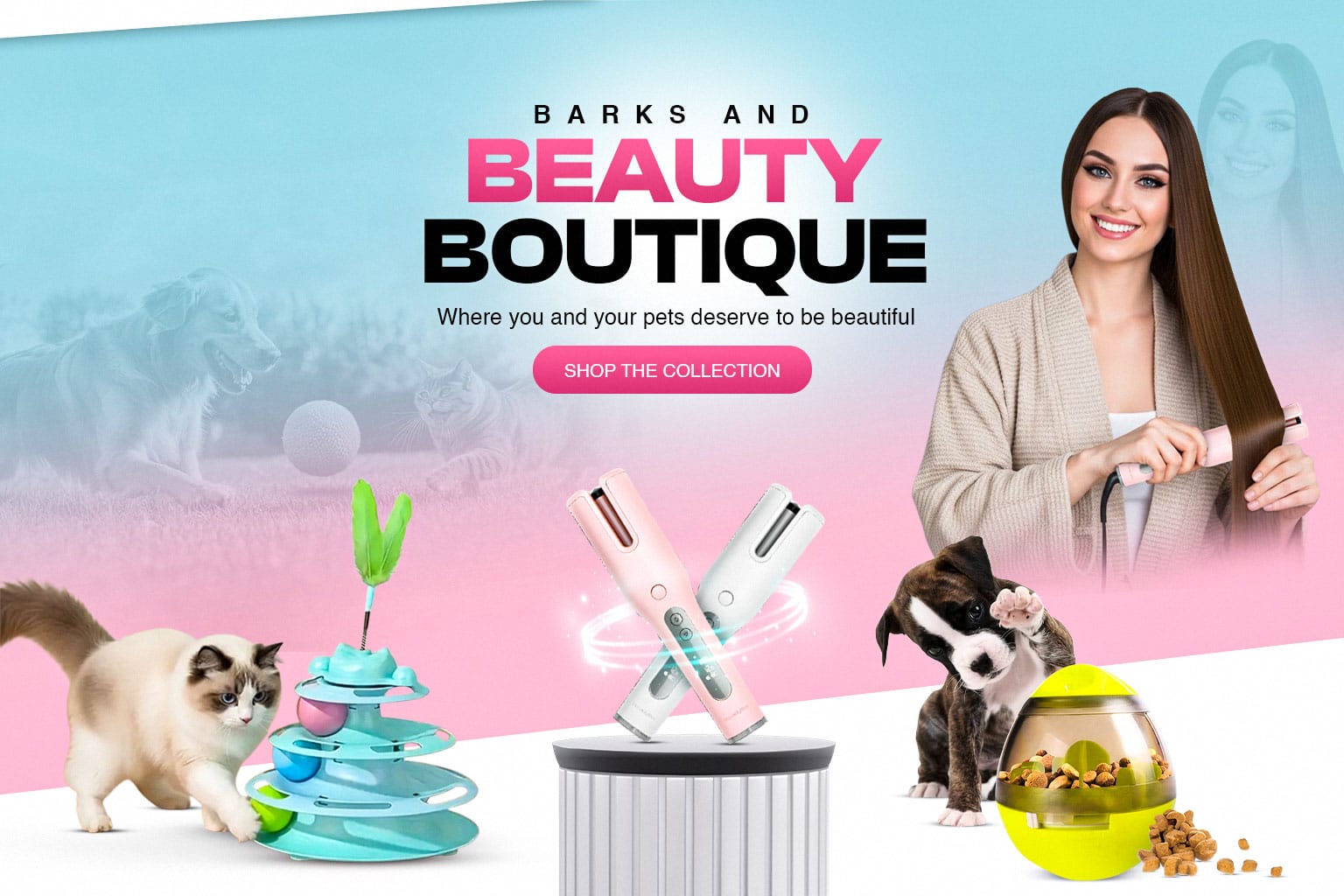 Product Promotion