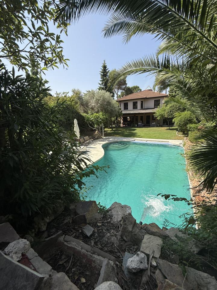 4216091-4aedd7c5_rixpao