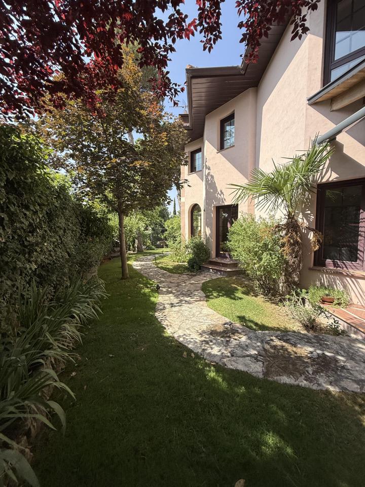 4216091-6f5dc7cc_mx20pc