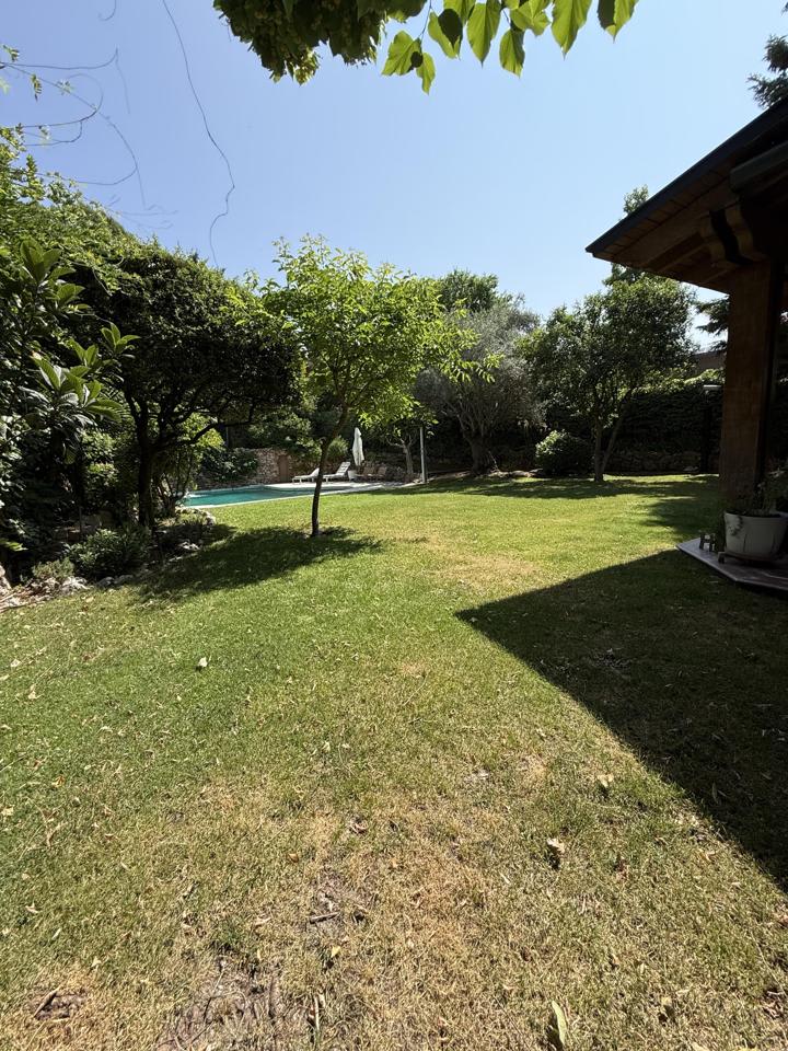 4216091-71fcd9dd_jm2qhl