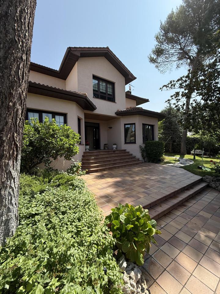 4216091-feb1ac43_rtcjl6