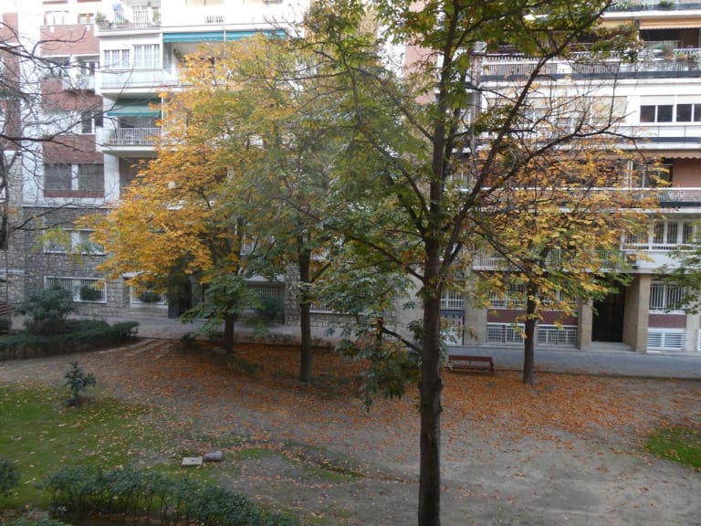 4226694-bc5b3635_oojakx