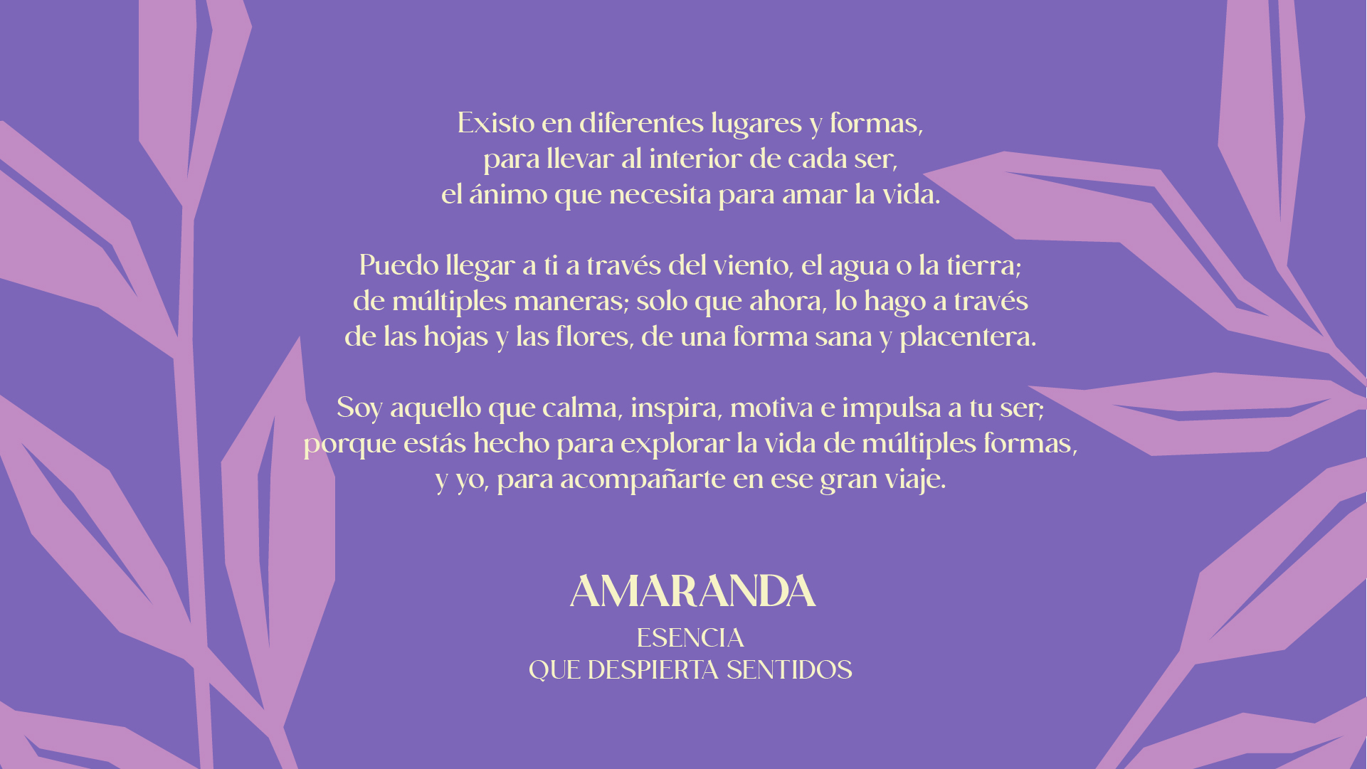 Amaranda story