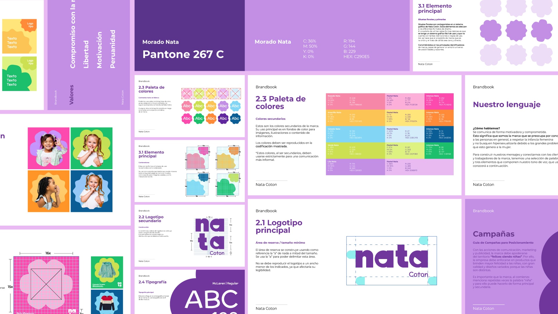 Nata manual de amrca