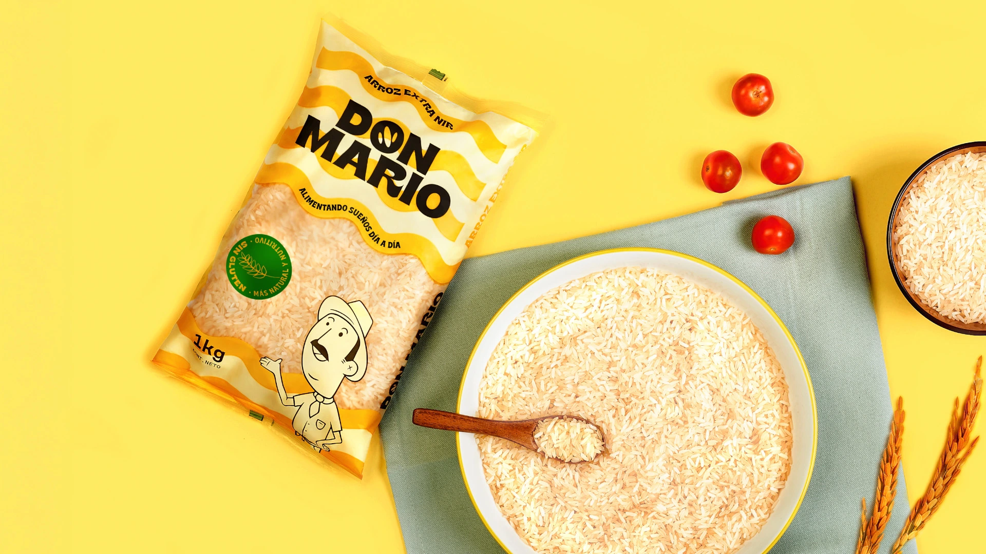 Don Mario donmariologo