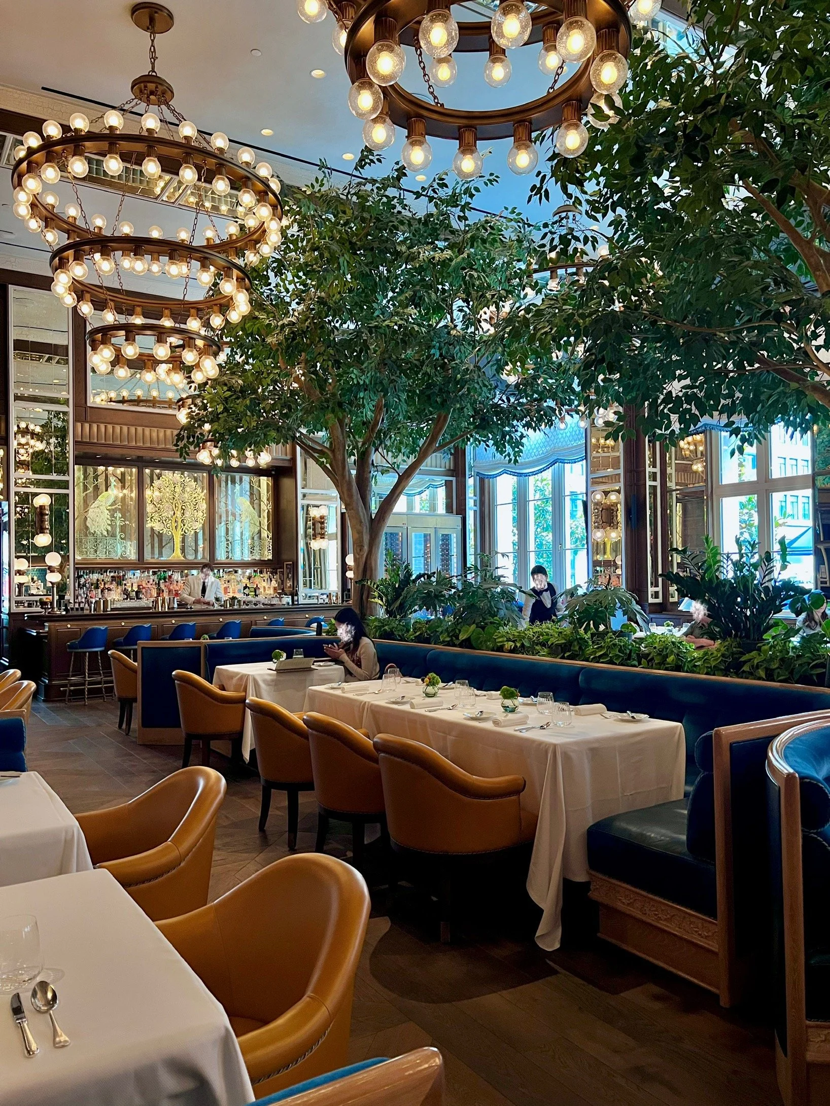 The Fifth Avenue Hotel, New York, NY — Cafe Carmellini