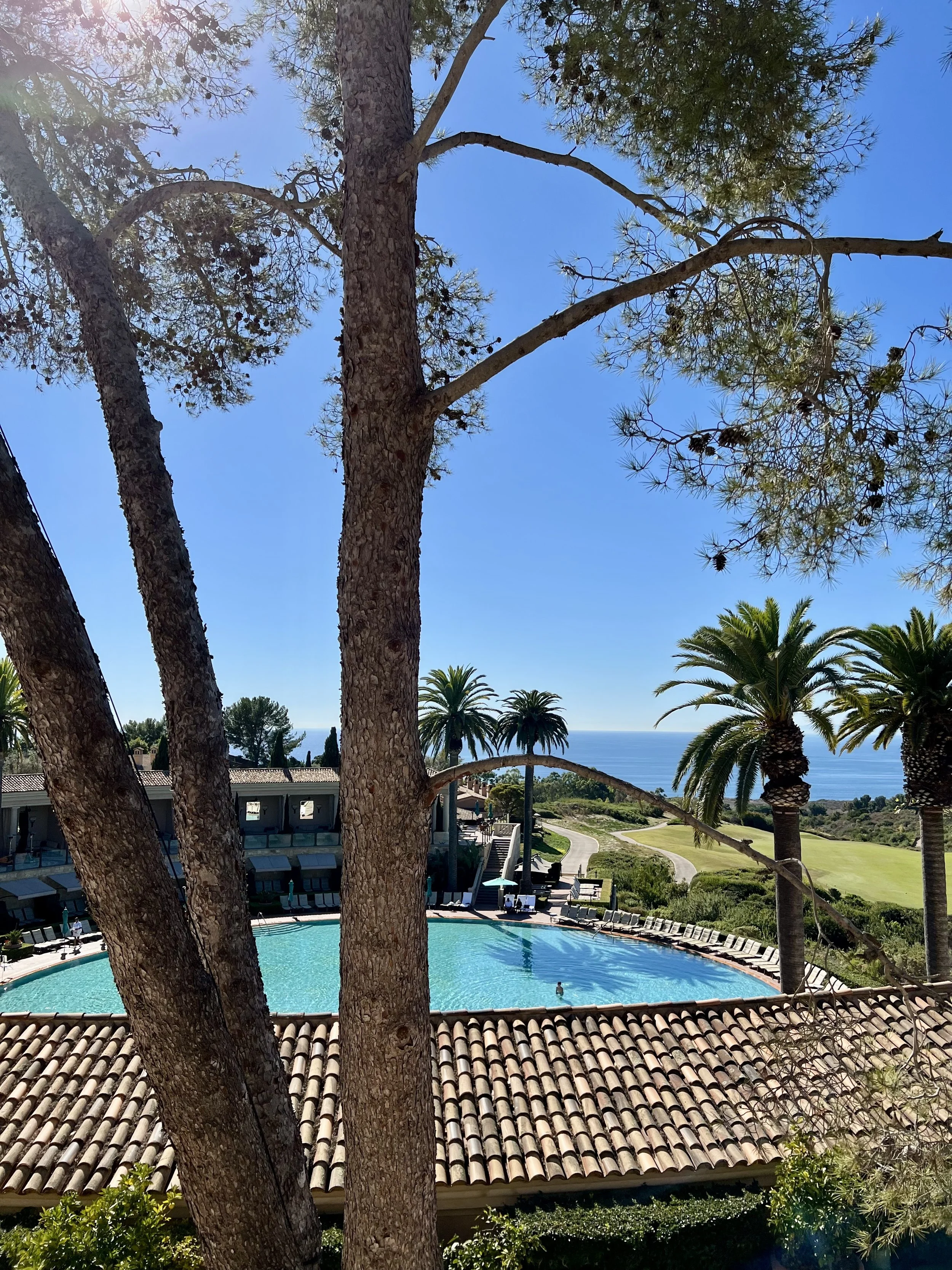 Pelican Hill Resort — arrival