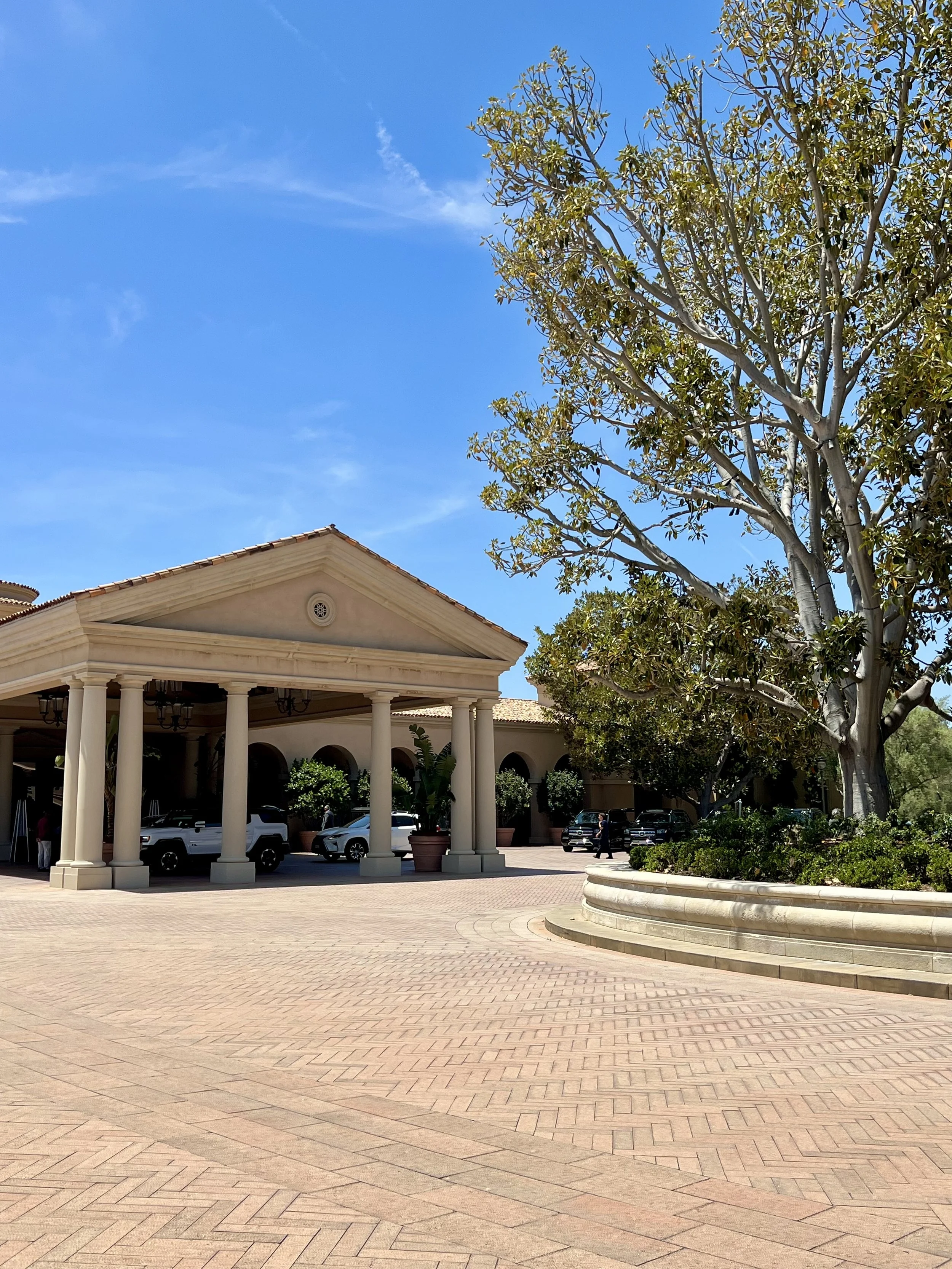 Pelican Hill Resort — arrival