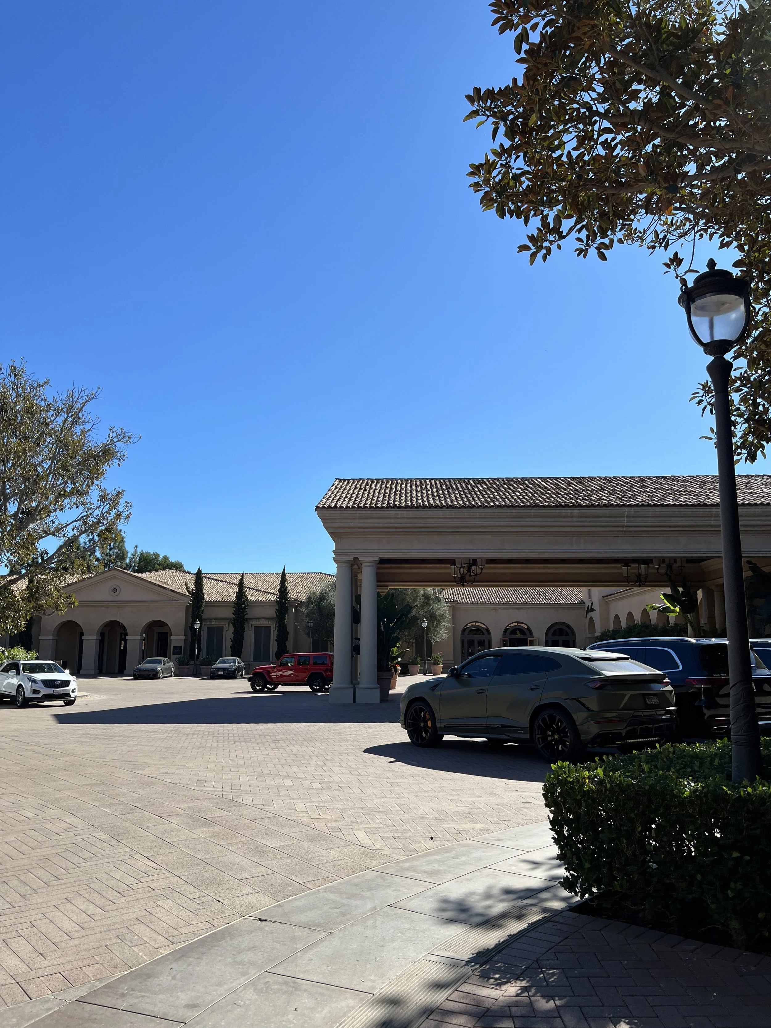 Pelican Hill Resort — arrival