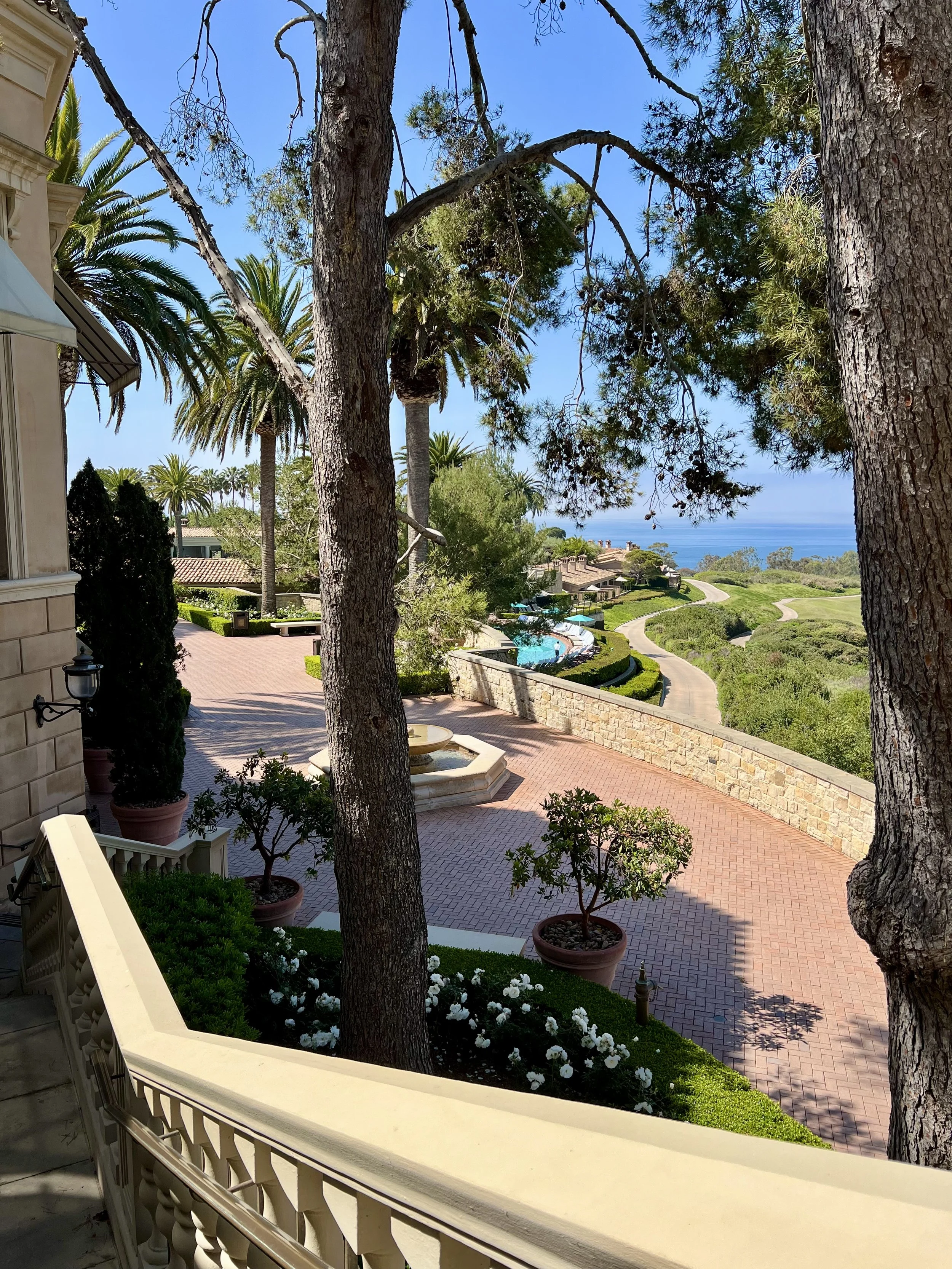 Pelican Hill Resort — arrival