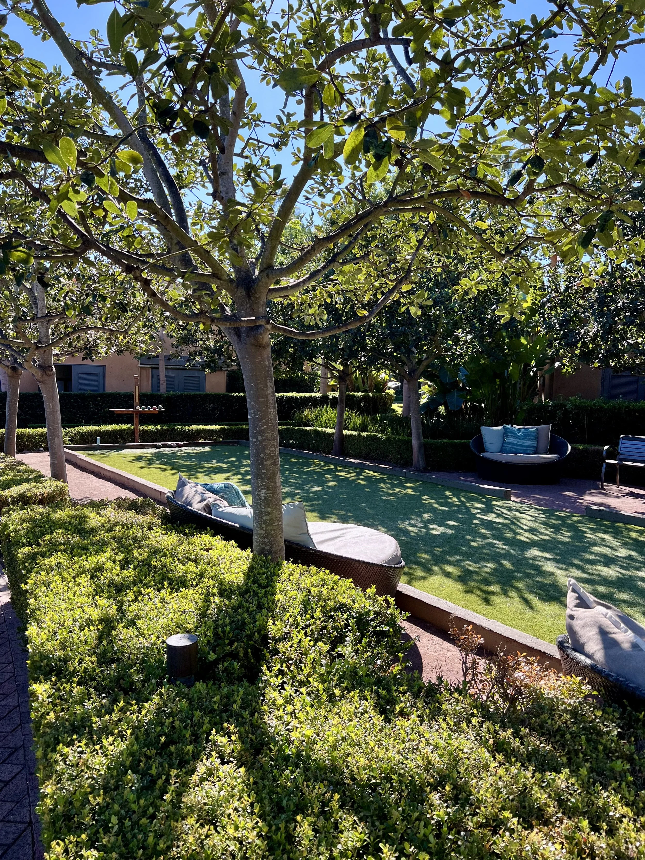 Pelican Hill Resort — room