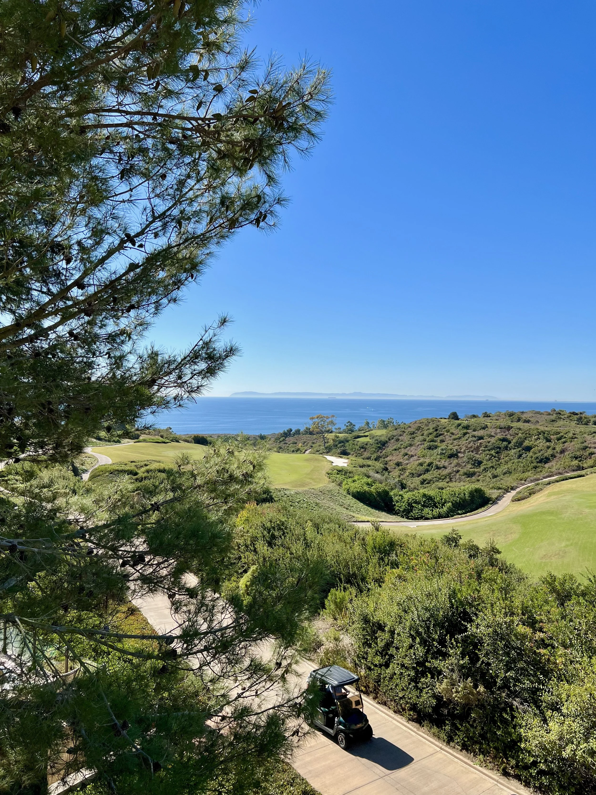 Pelican Hill Resort — activities and Coliseum Pool