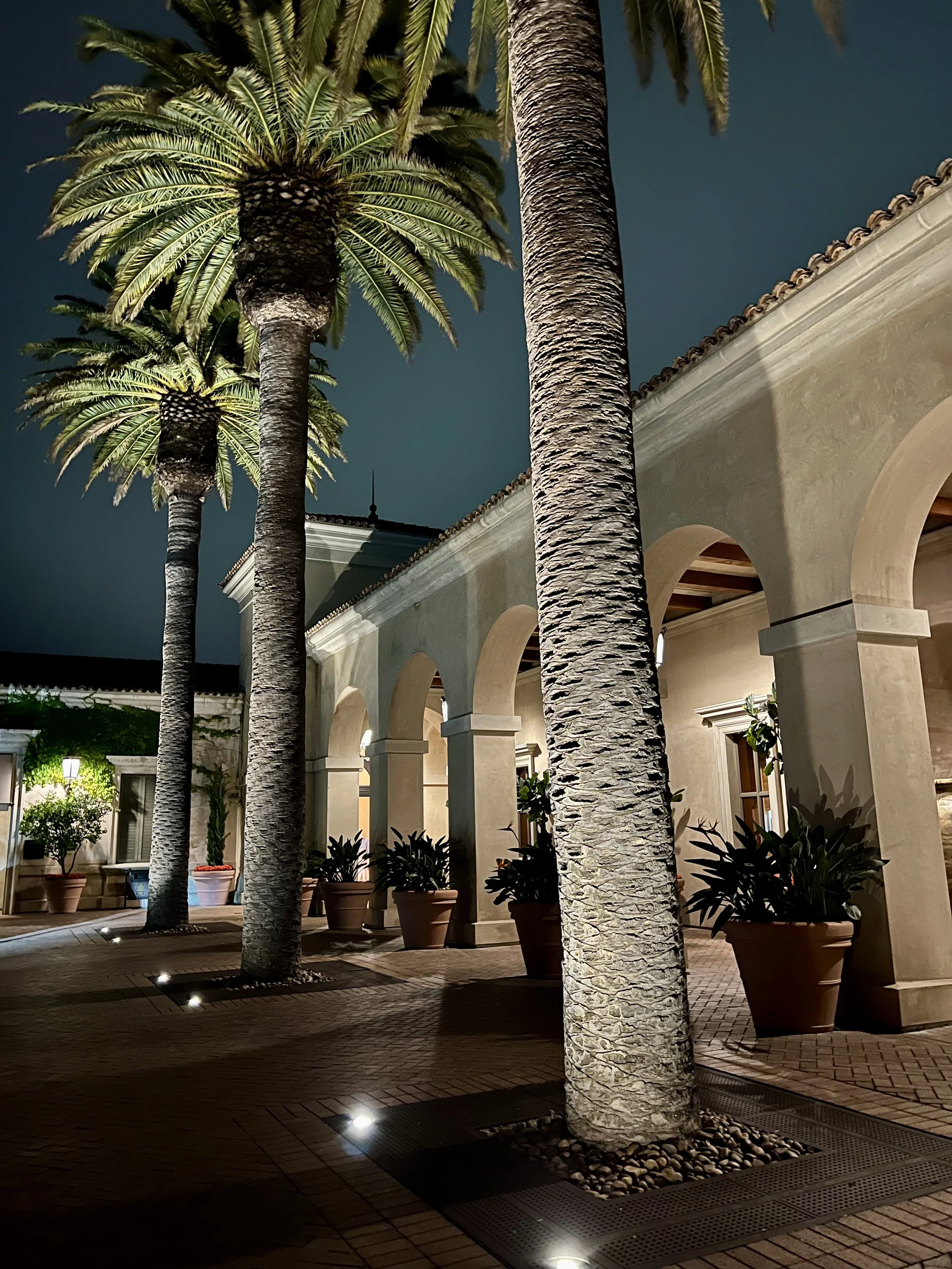 Pelican Hill Resort — Pelican Grill