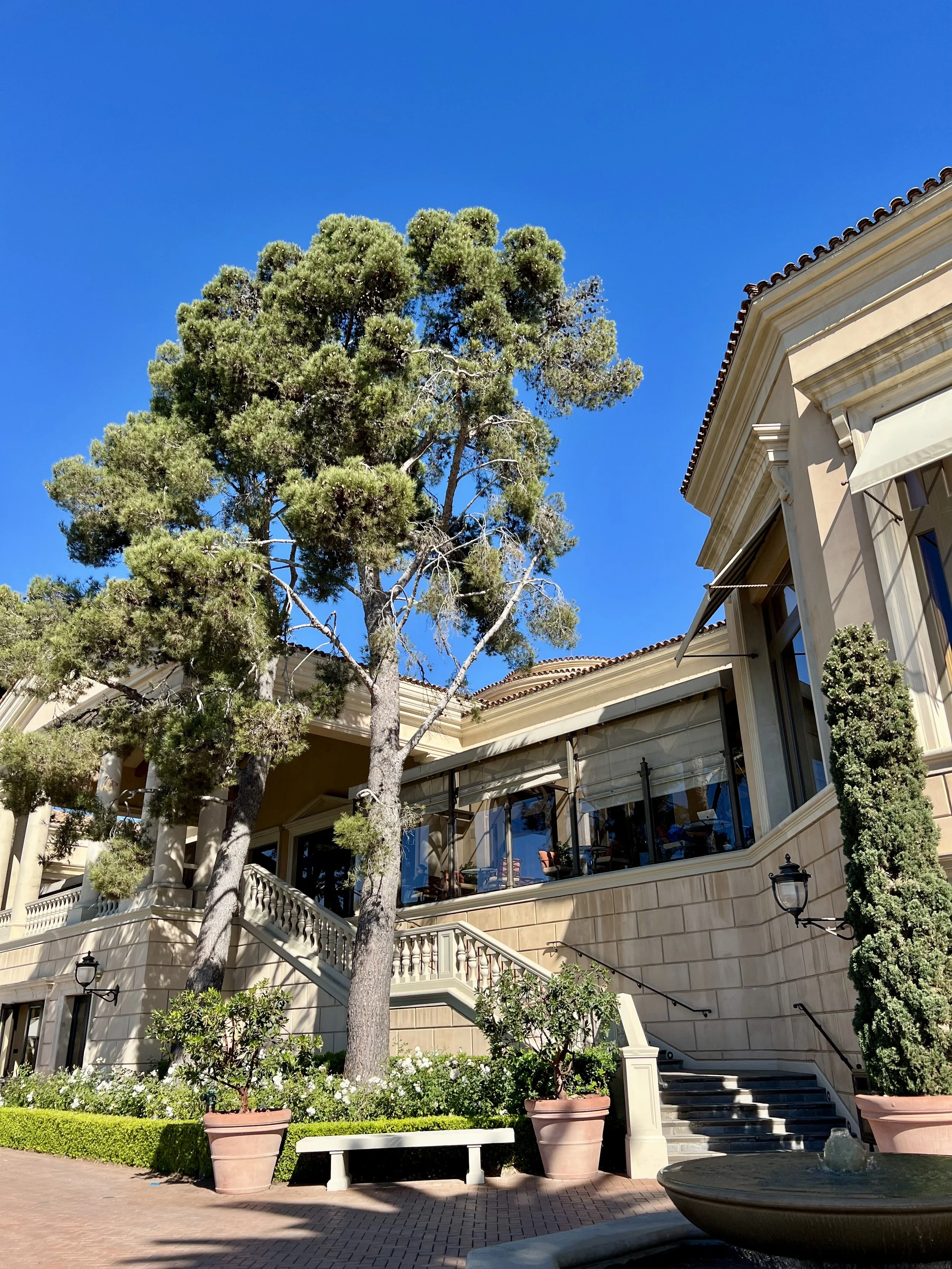 Pelican Hill Resort — highlights