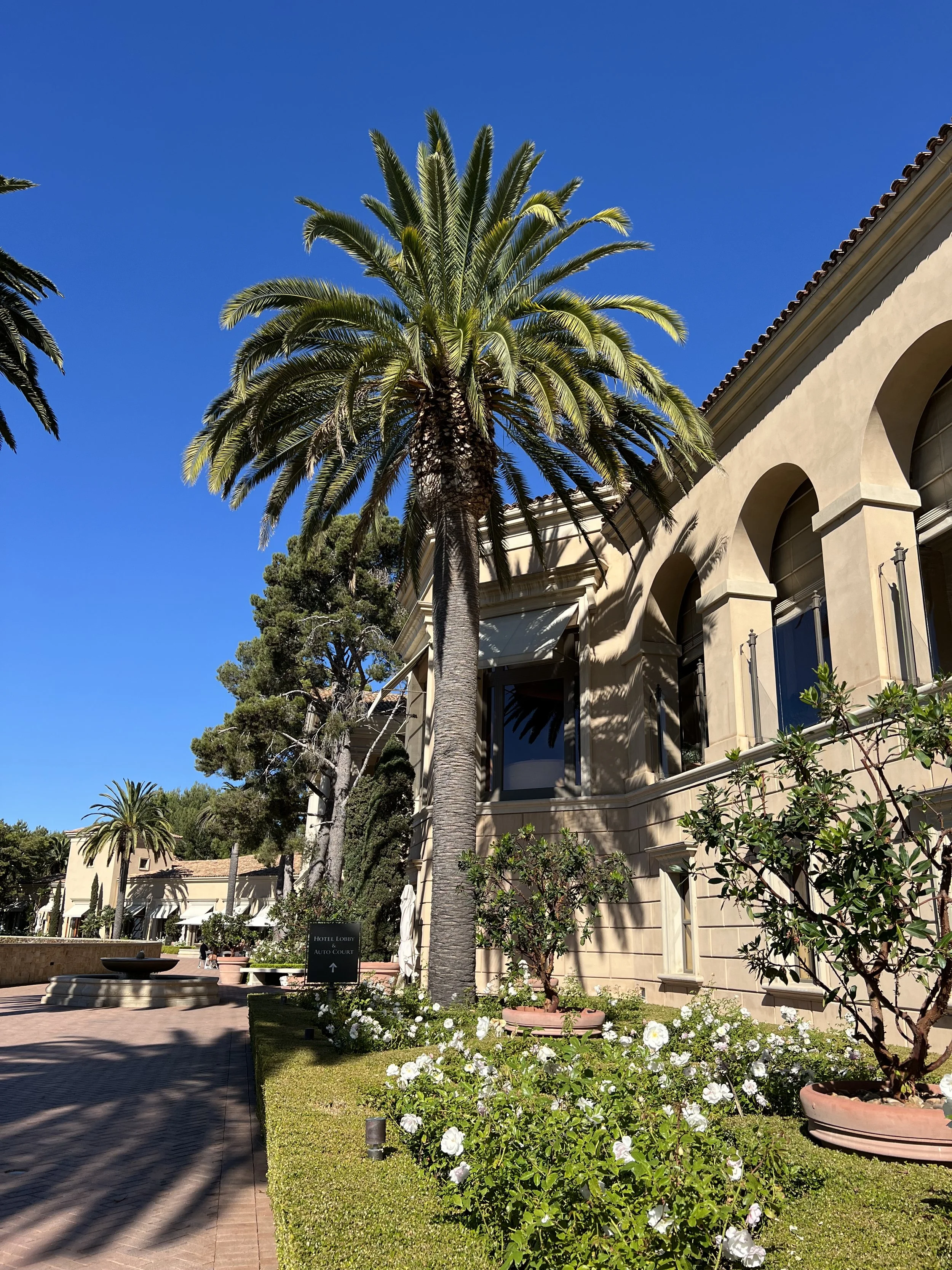 Pelican Hill Resort — highlights