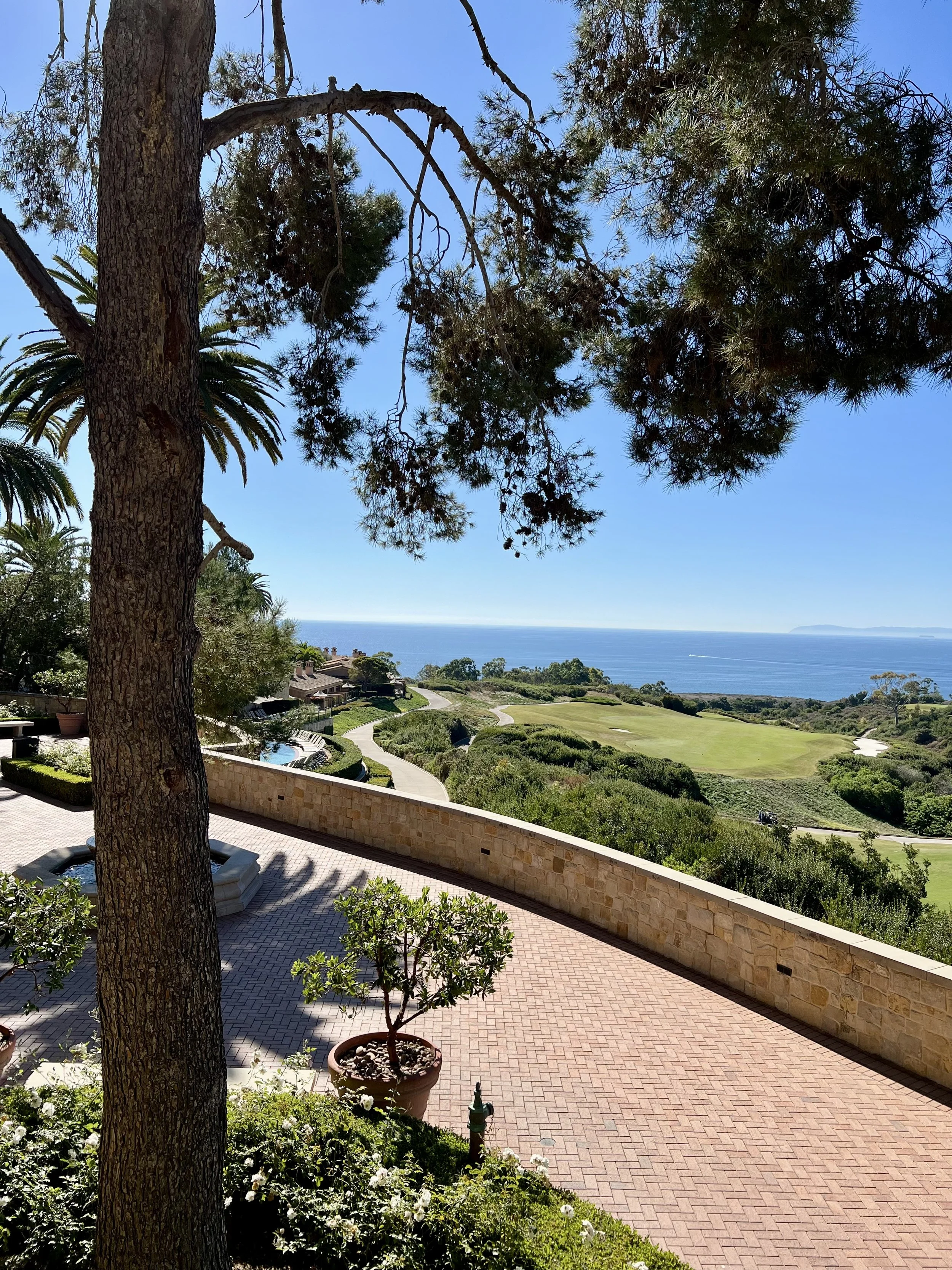 Pelican Hill Resort — highlights