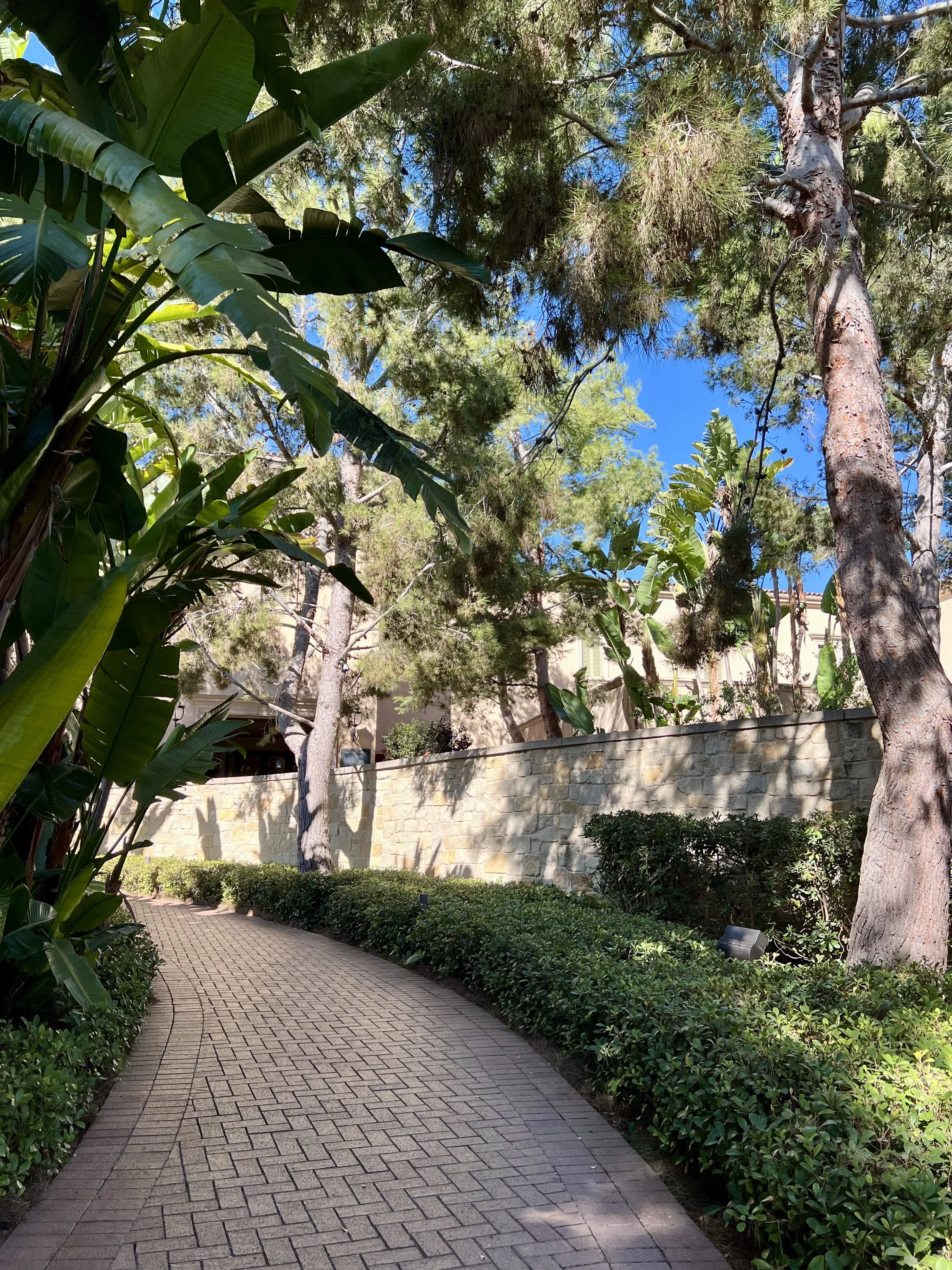 Pelican Hill Resort — highlights