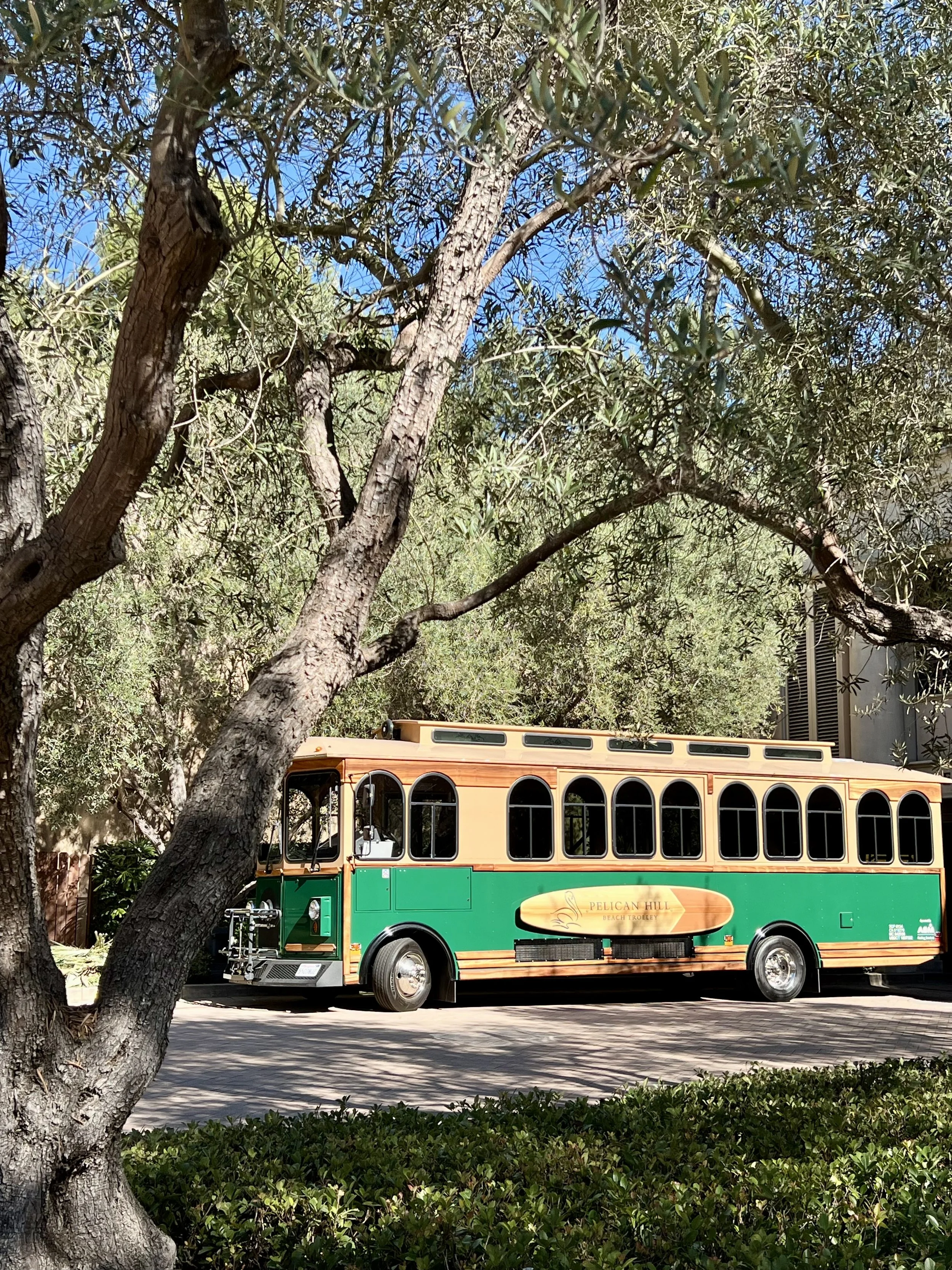 Pelican Hill Resort — tips
