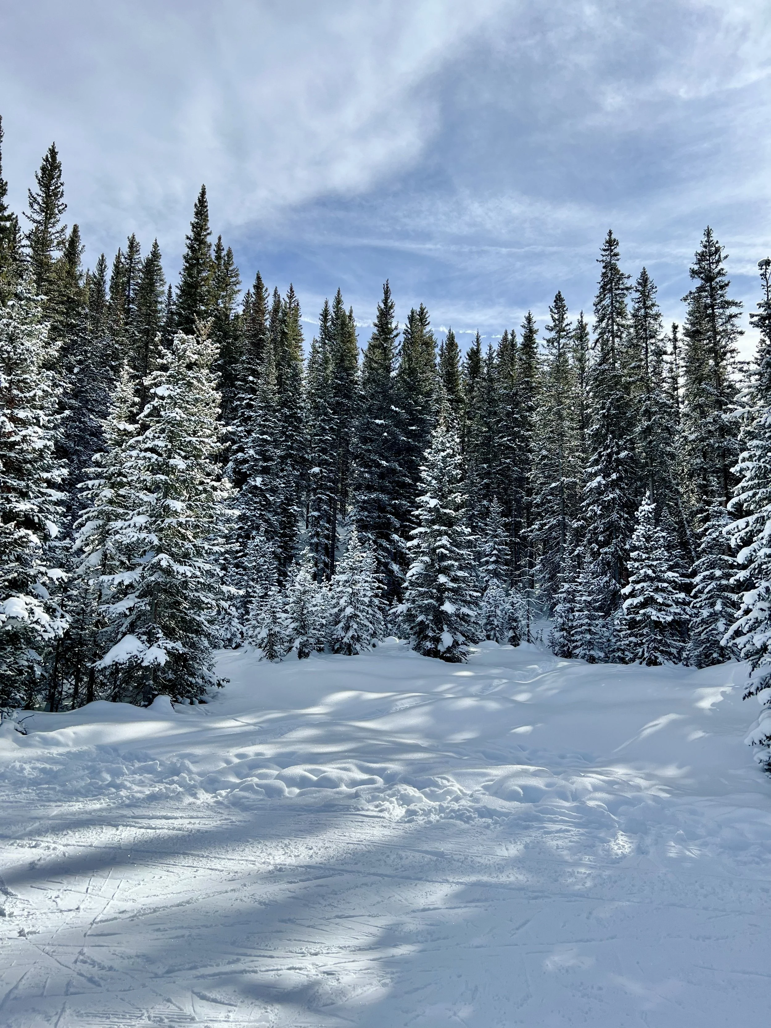 The Little Nell Aspen, Aspen Mountain