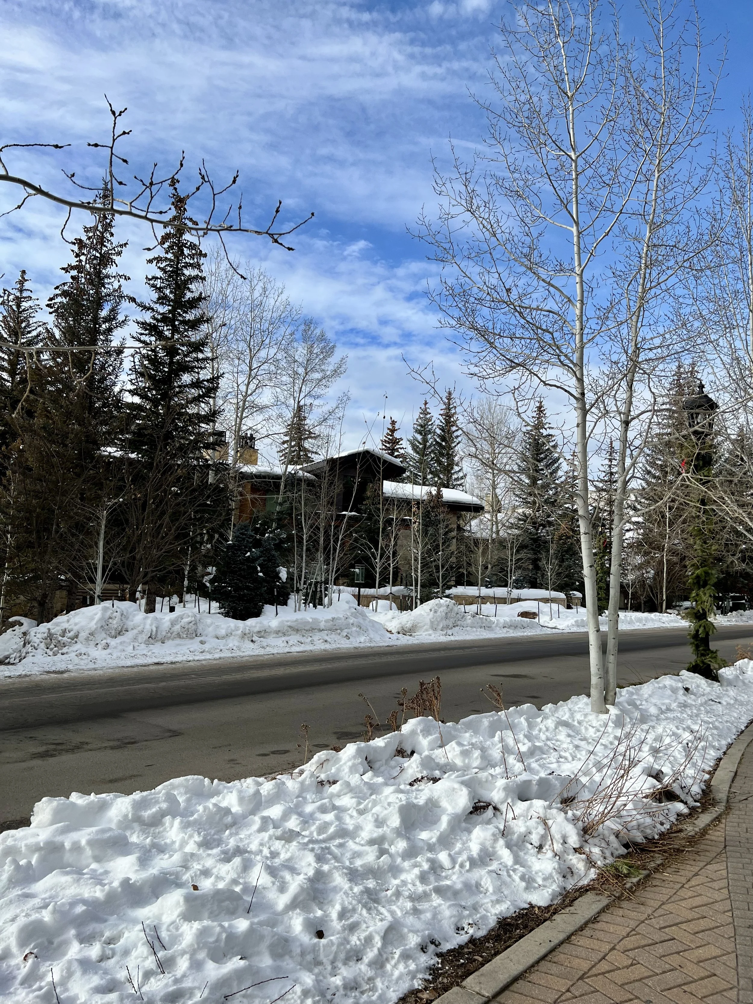 Four Seasons Vail, highlights