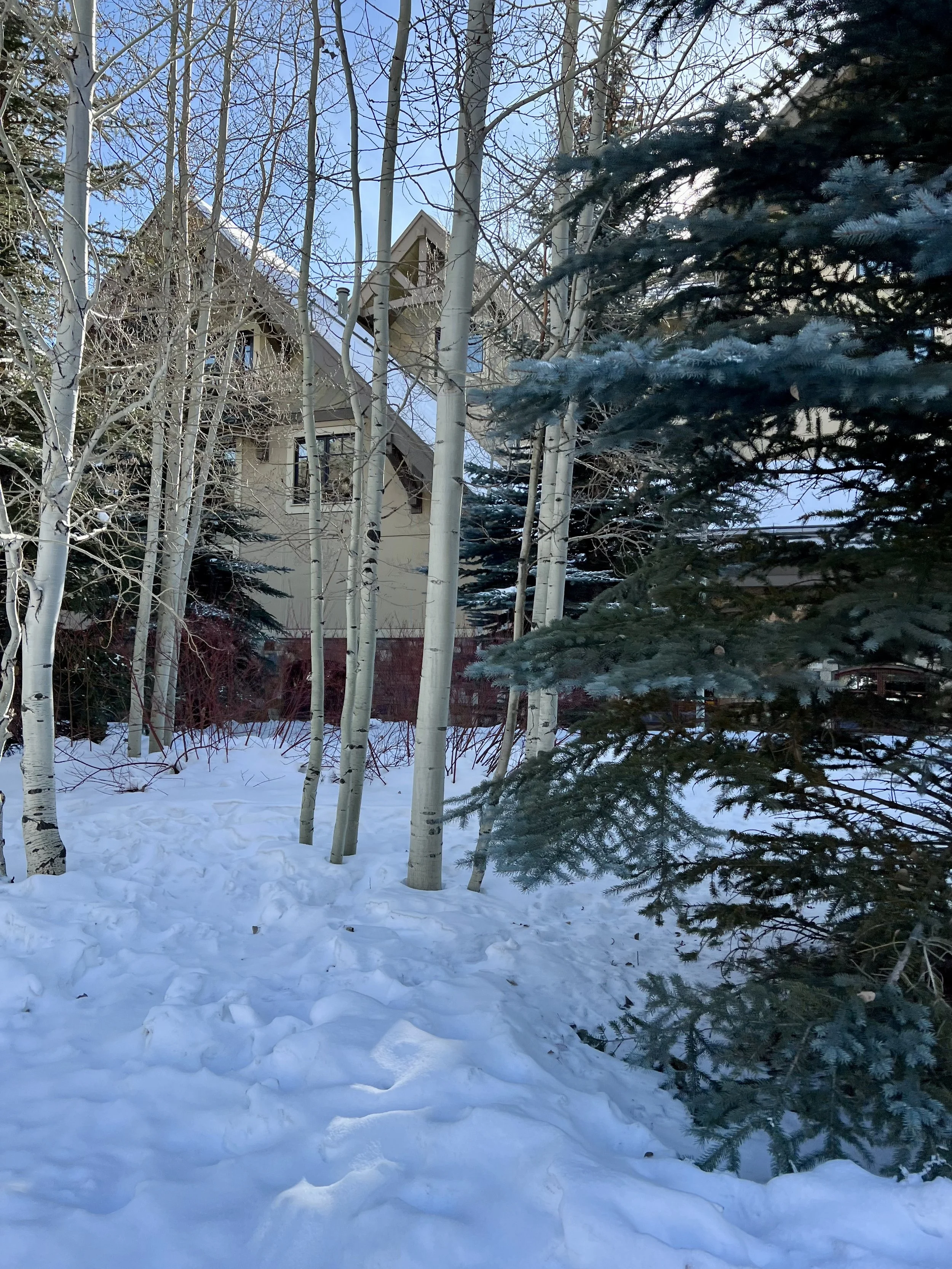Four Seasons Vail, highlights