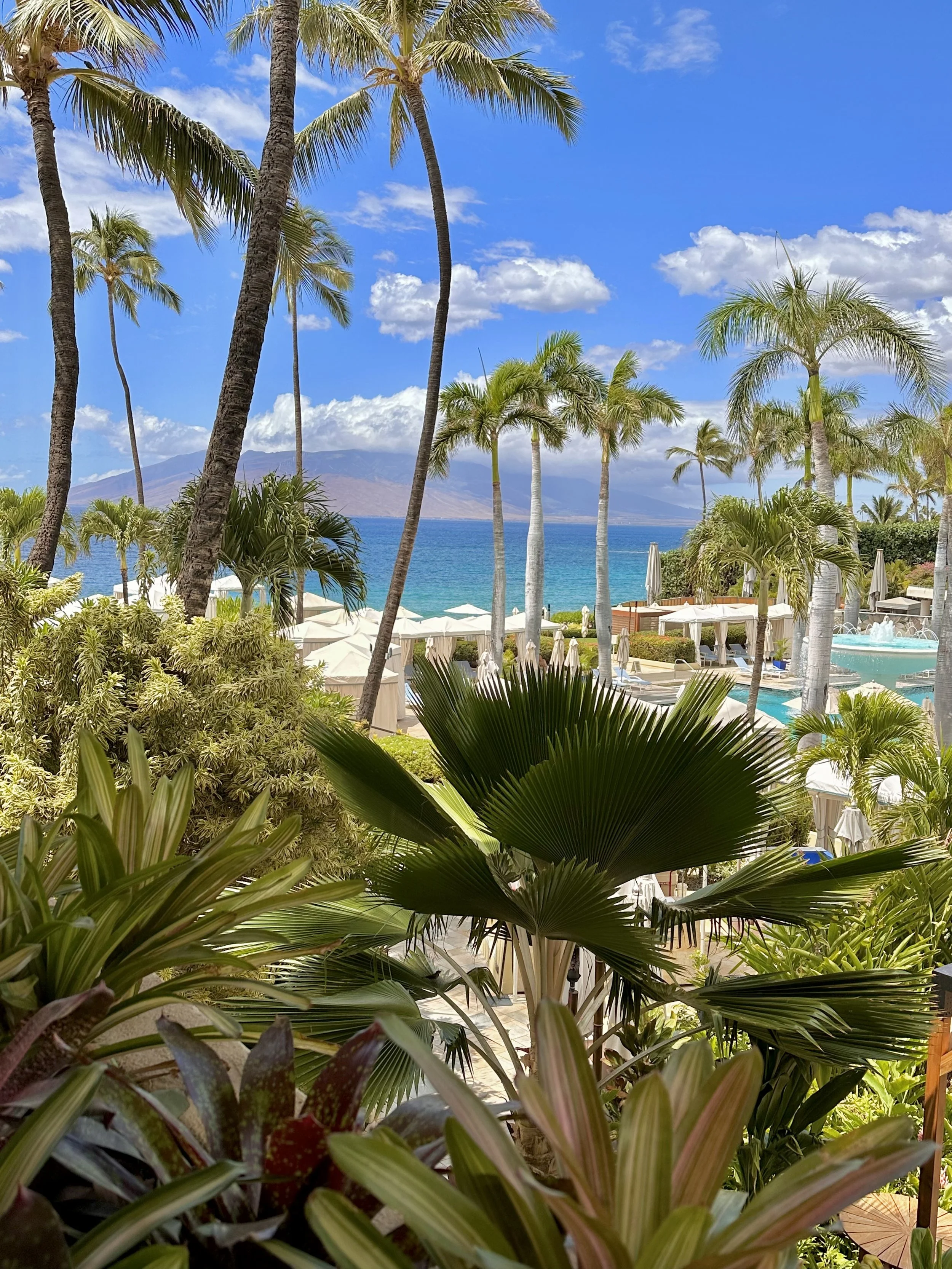 Four Seasons Maui — lobby flowers and grounds