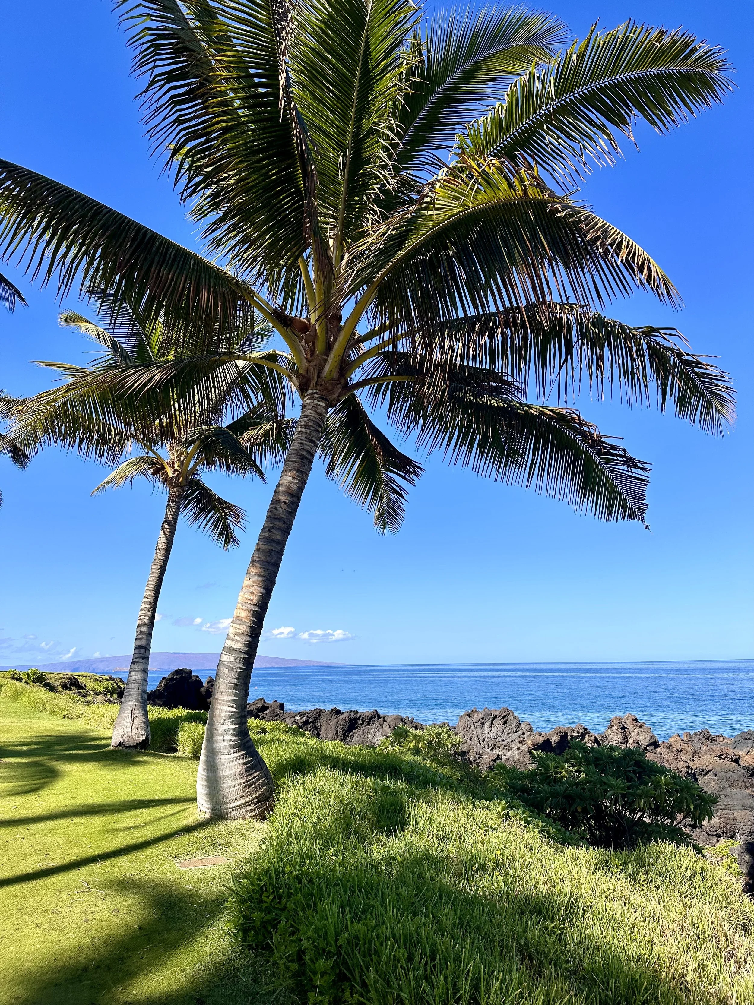Four Seasons Maui — Waterfall Pool