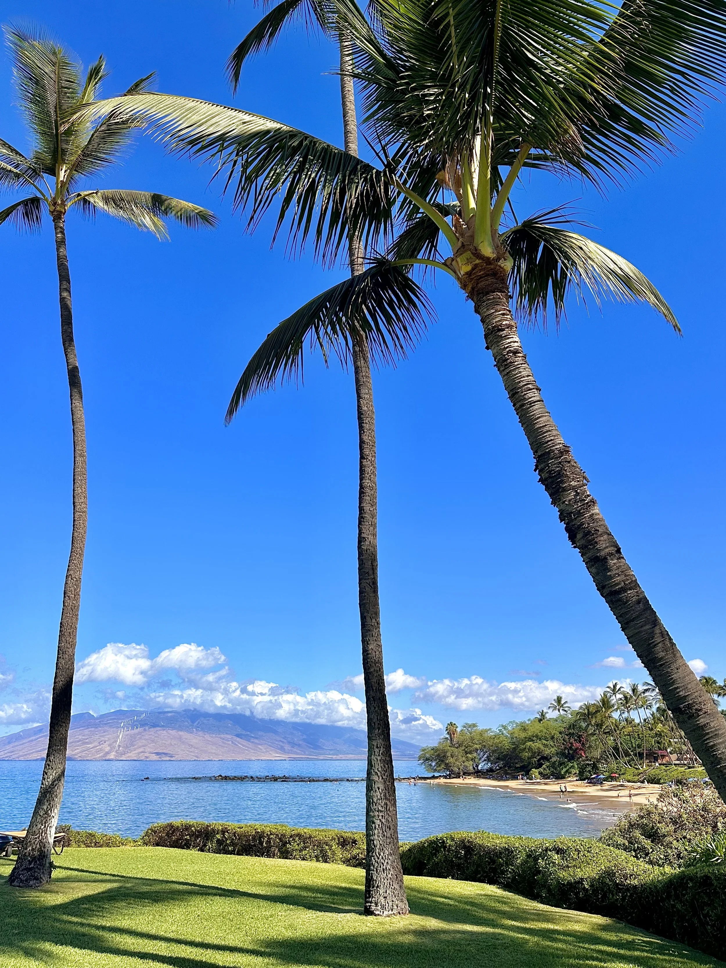 Four Seasons Maui — Waterfall Pool