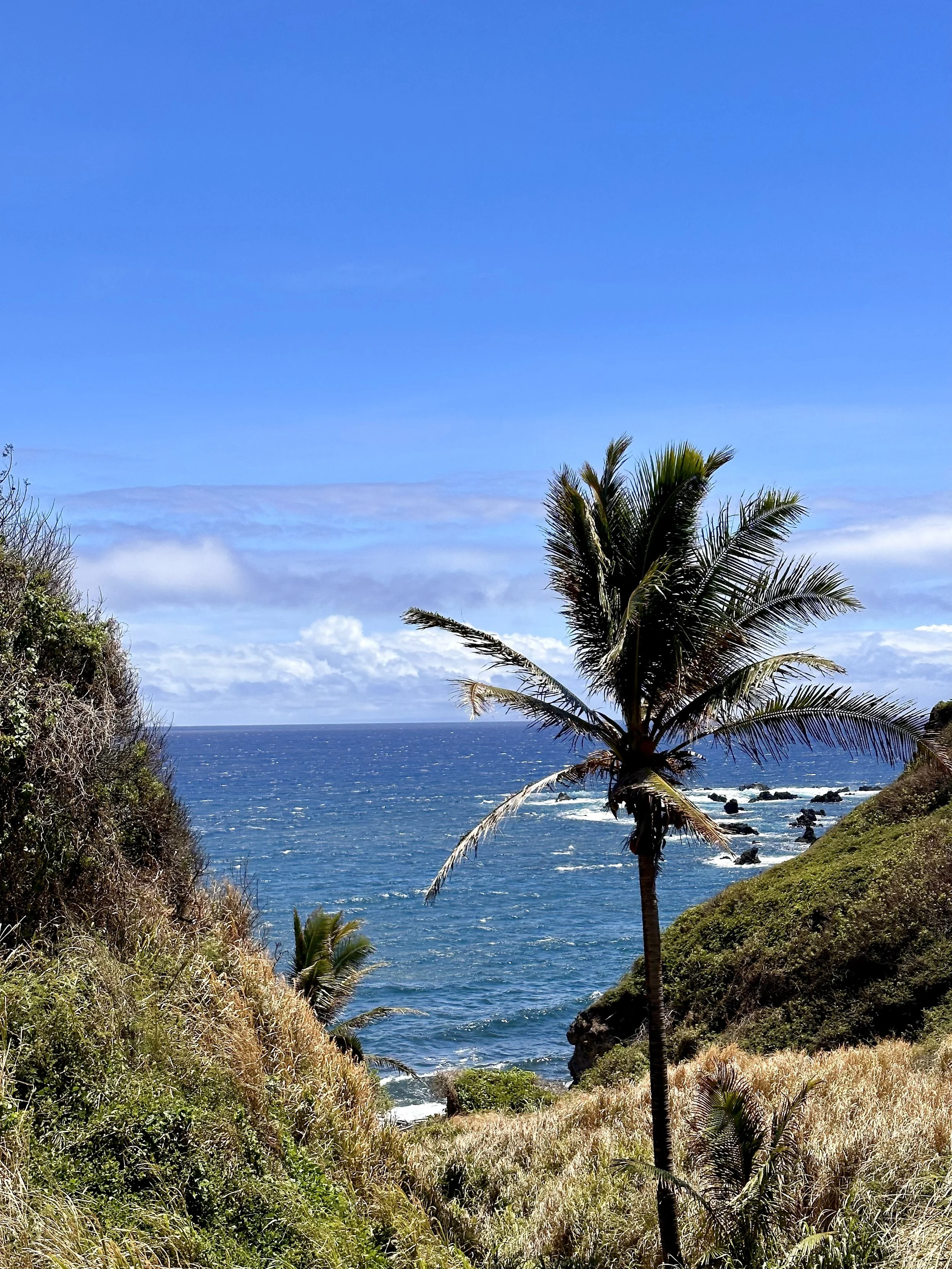 Four Seasons Maui — fitness center