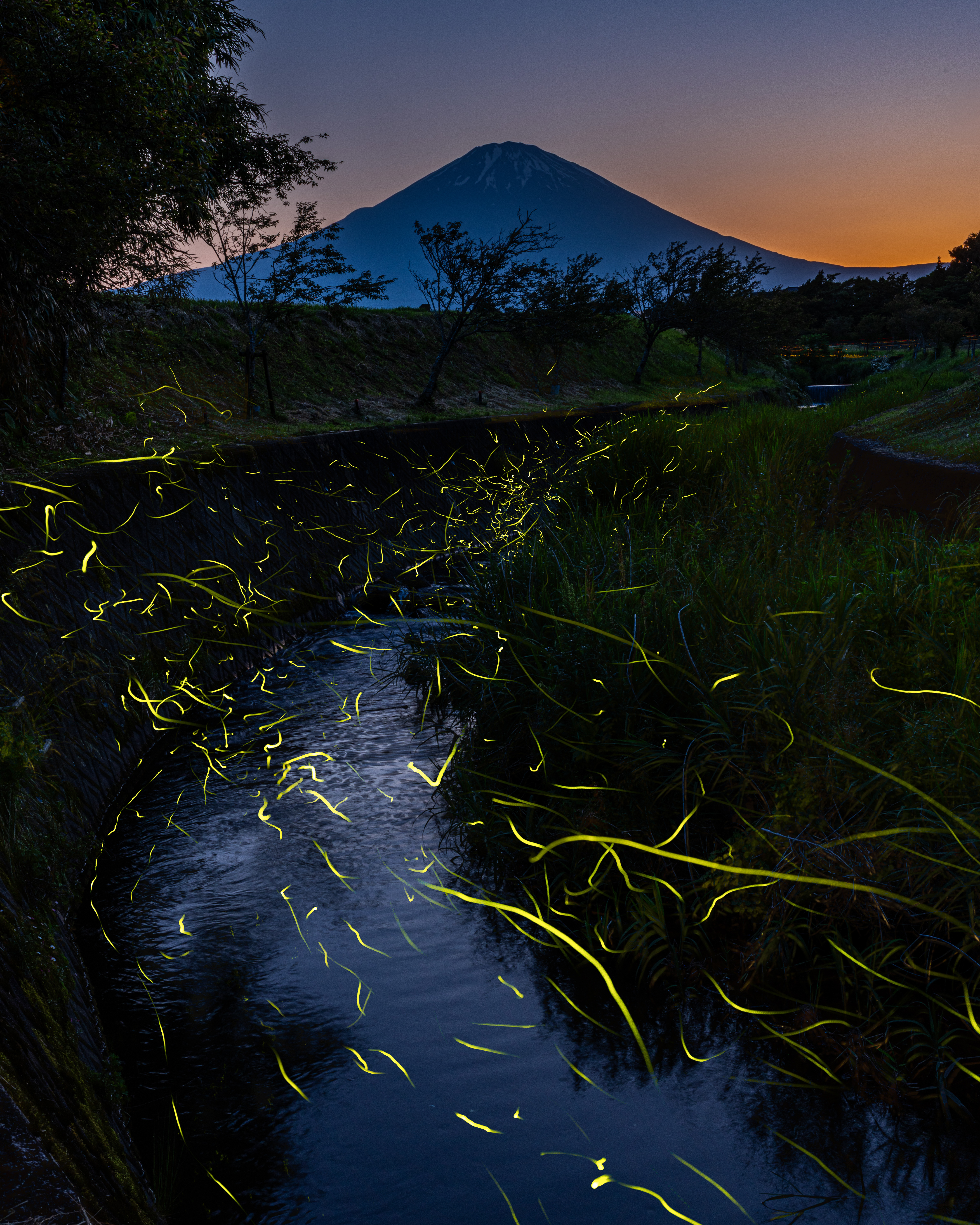富士につながる光の道
