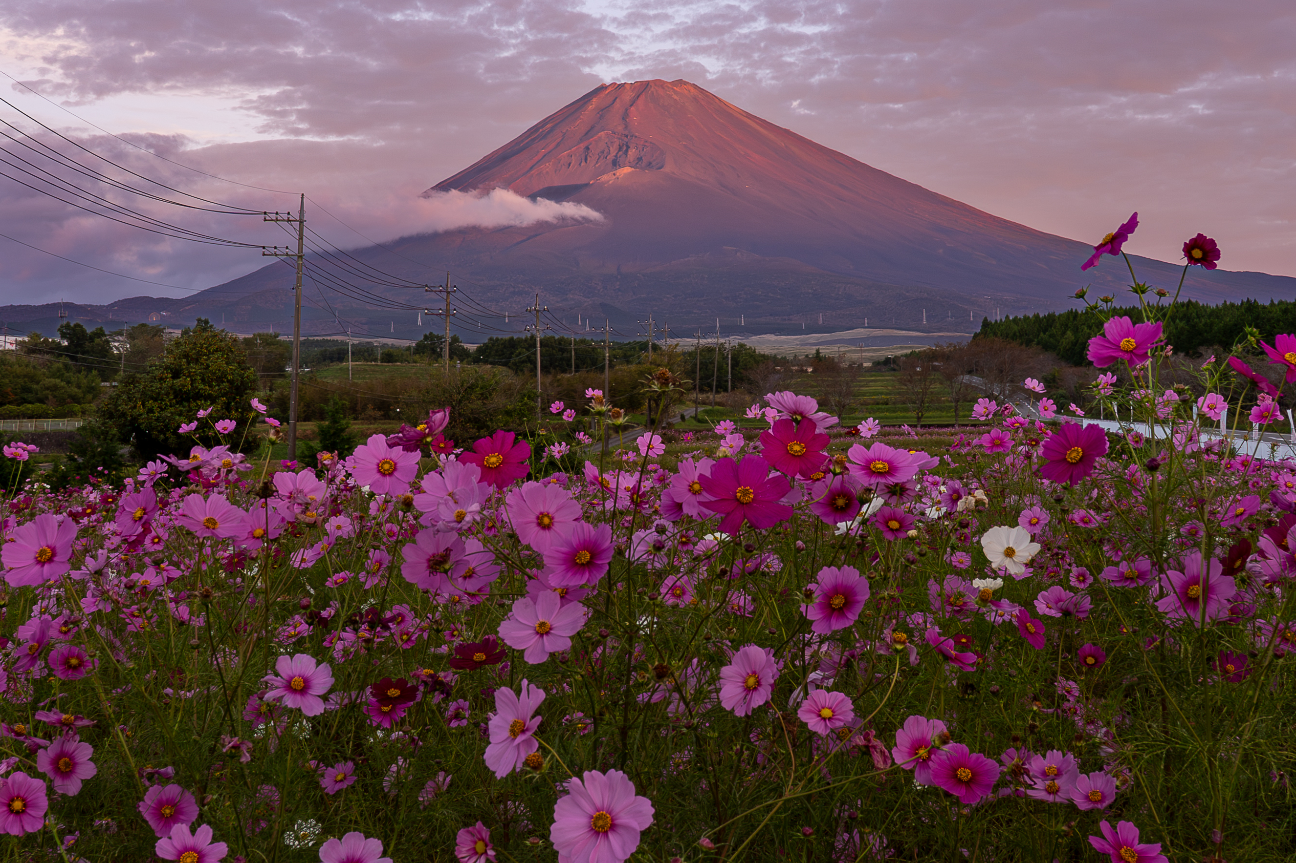 霊峰に秋光さして