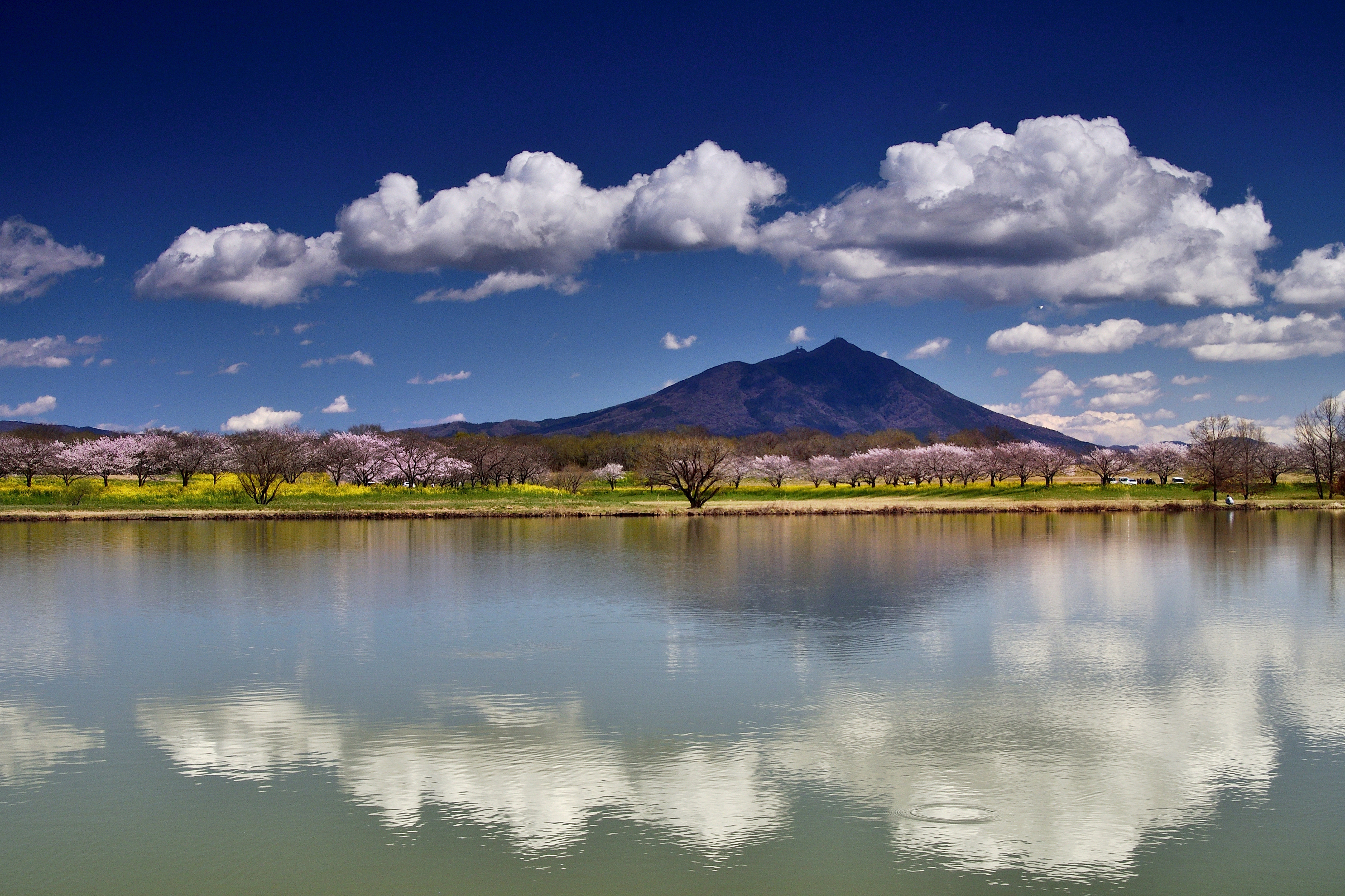 雲のシンメトリー