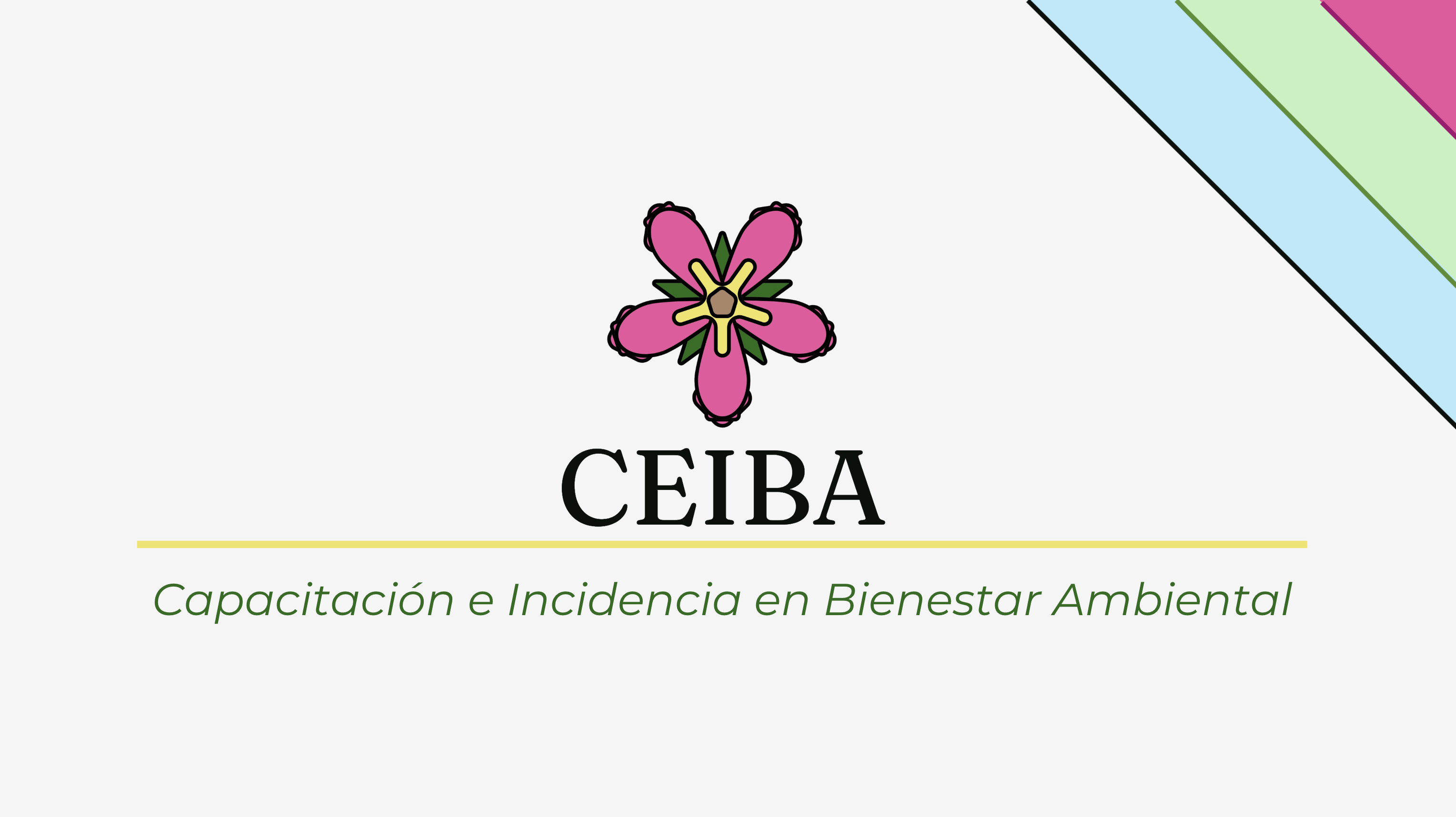 Climate Action | Youth Program Design & Training, CEIBA