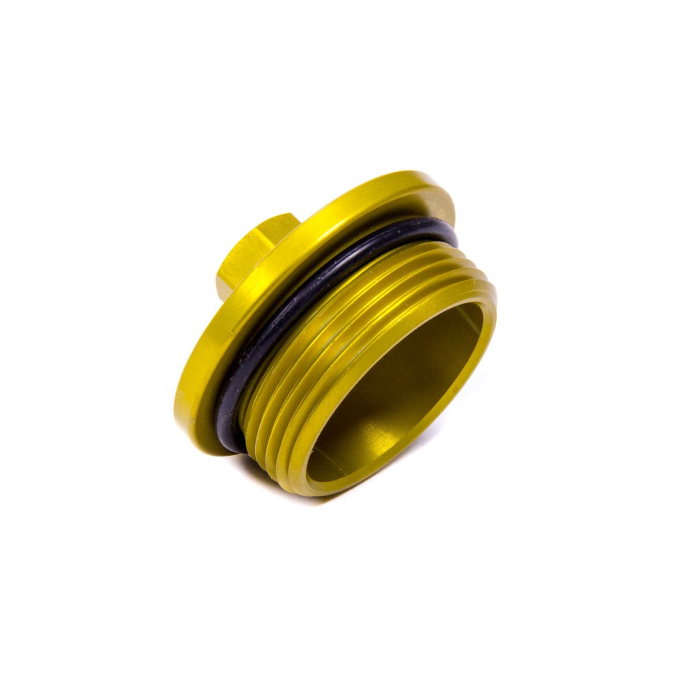 Large Inspection Plug