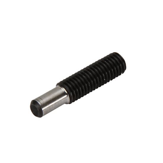 Back Stop Screw