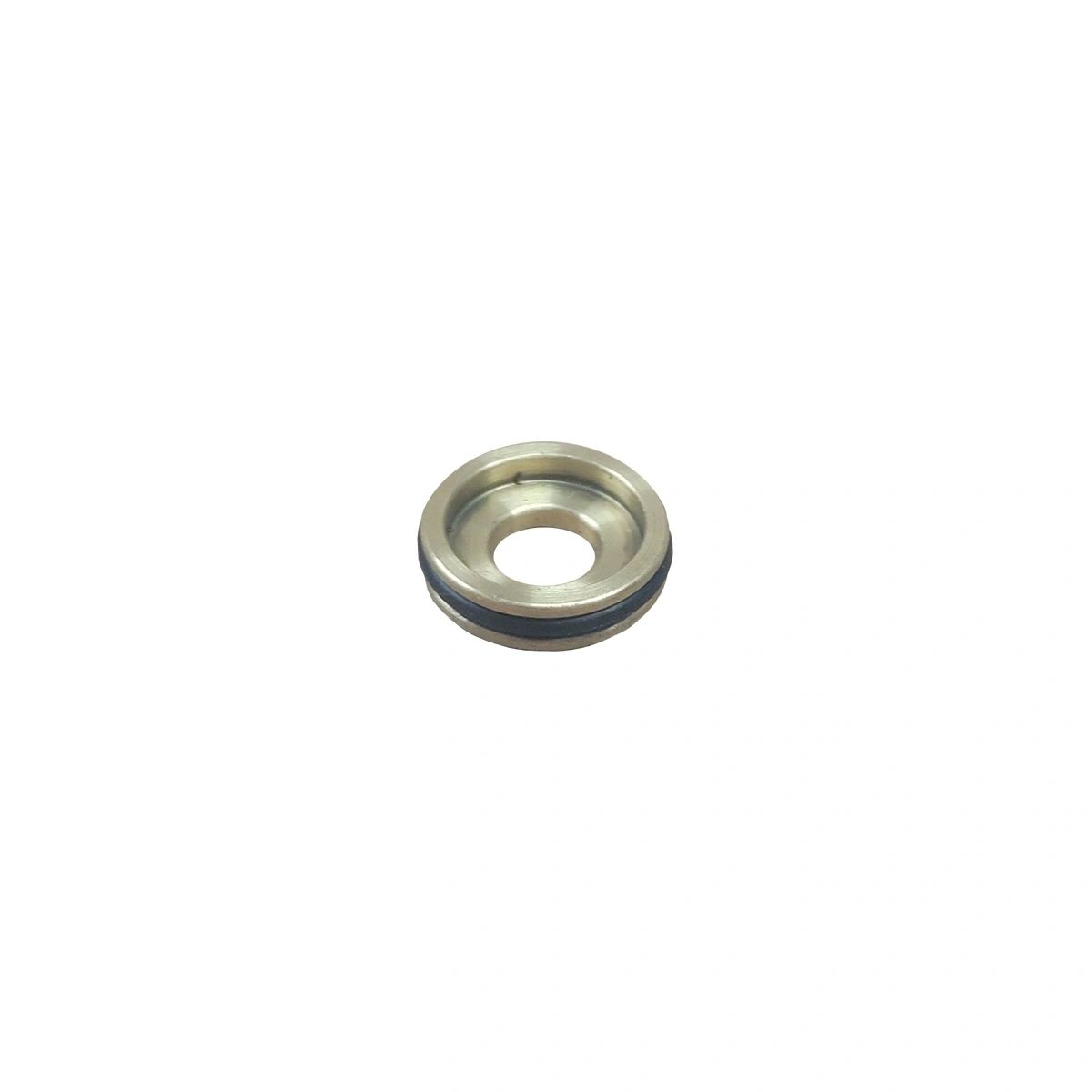 B/Valve Insert Brass