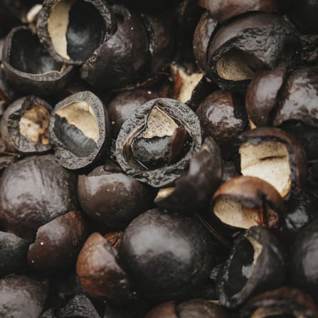click to learn more about our natural ingredients