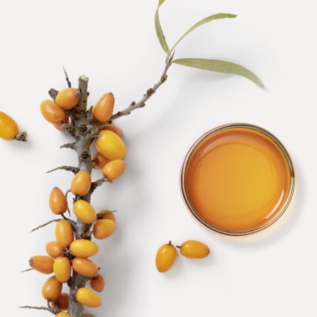 click to learn more about our ingredients