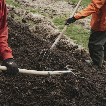 click to learn more about ecology