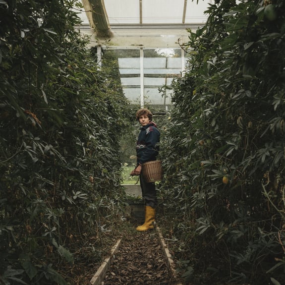 Person in a greenhouse aisle with a wicker basket, yellow boots, and dense plants on both sides.